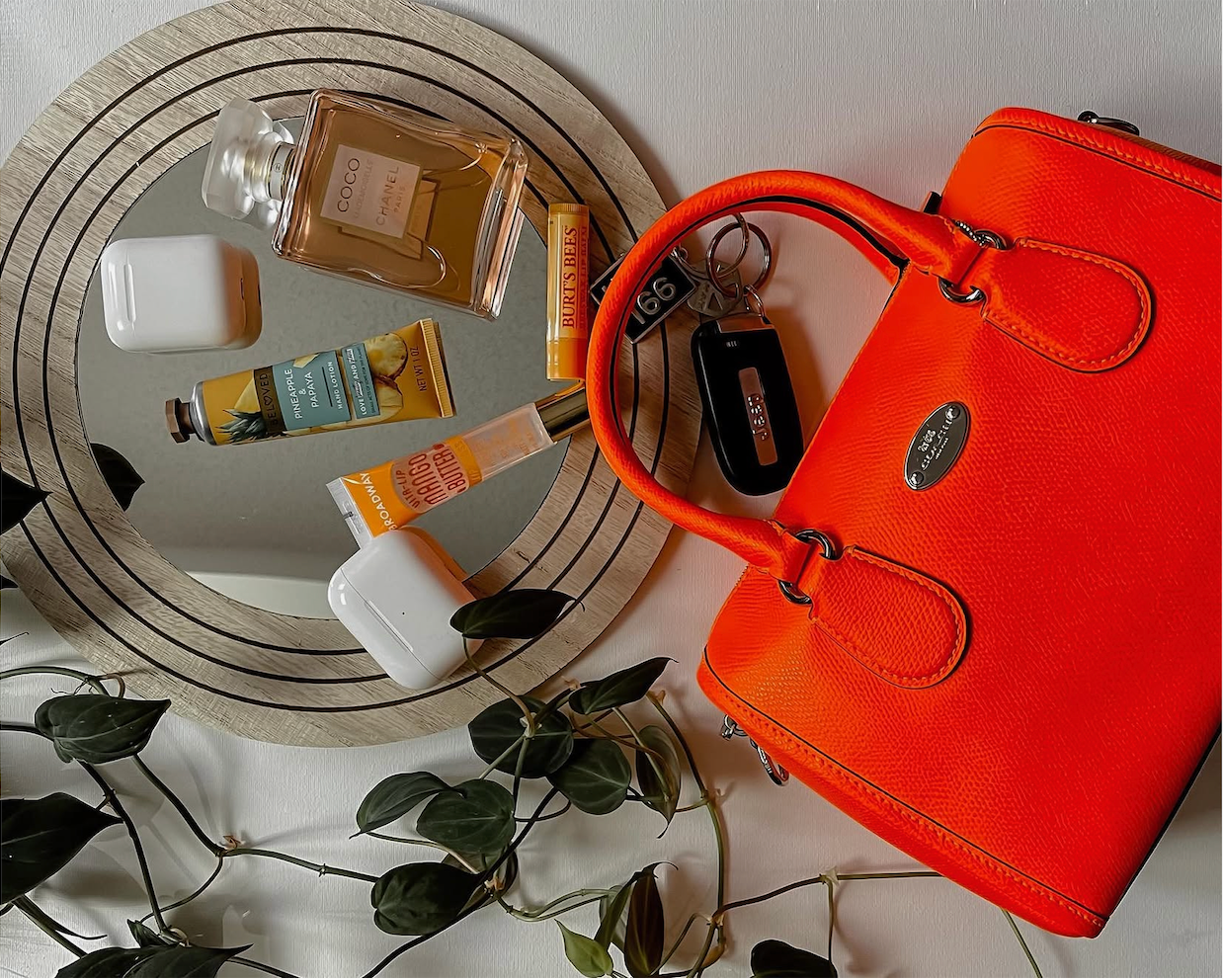 Introducing Your New Purse Favorite